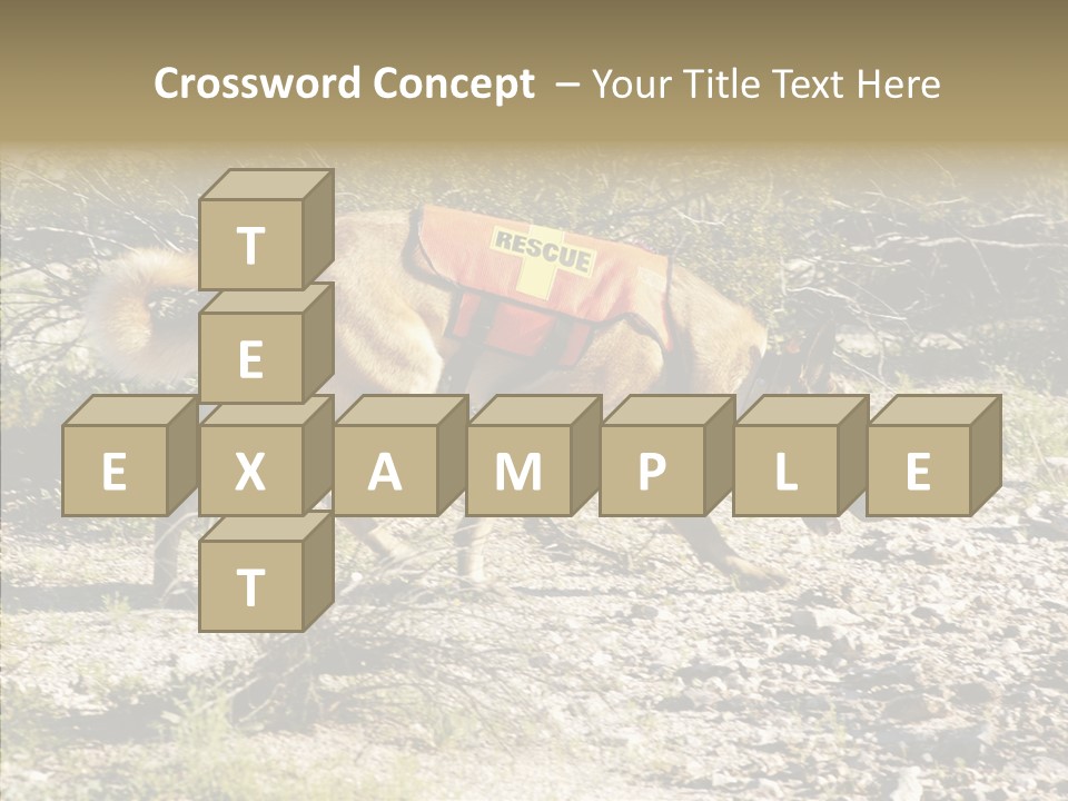 Senior  Elderly Touching PowerPoint Template