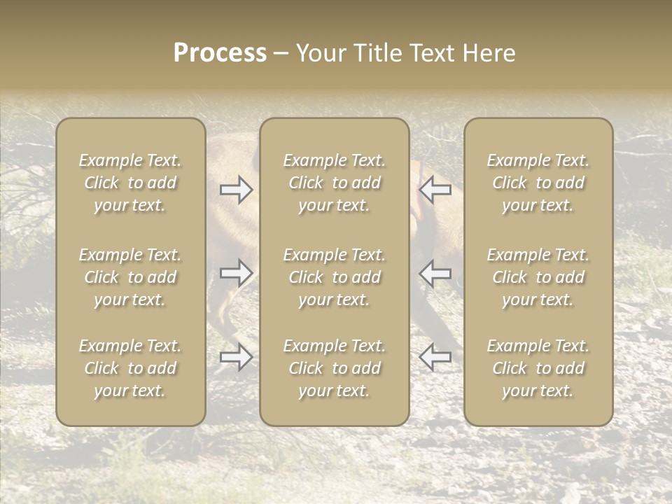 Senior  Elderly Touching PowerPoint Template