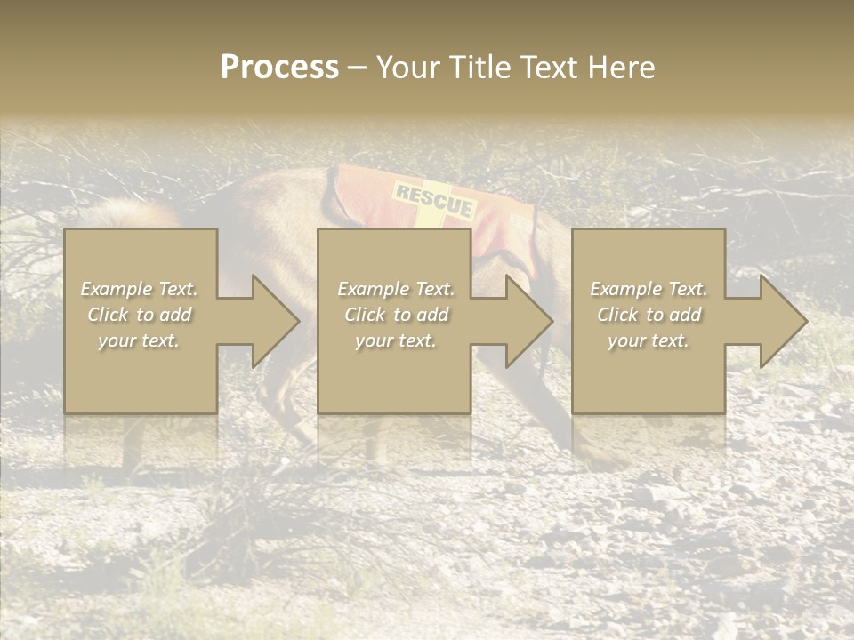 Senior  Elderly Touching PowerPoint Template