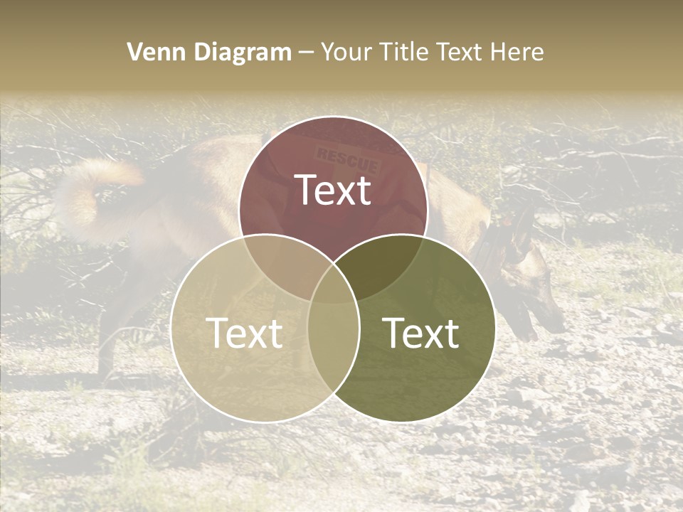 Senior  Elderly Touching PowerPoint Template