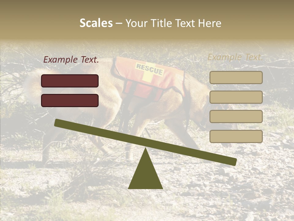 Senior  Elderly Touching PowerPoint Template