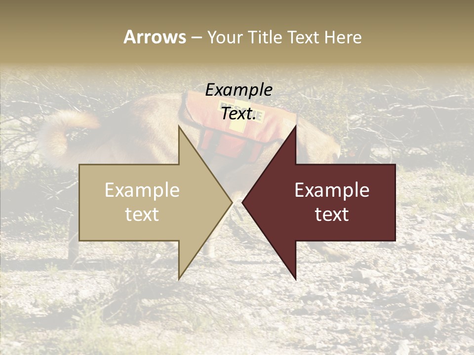 Senior  Elderly Touching PowerPoint Template