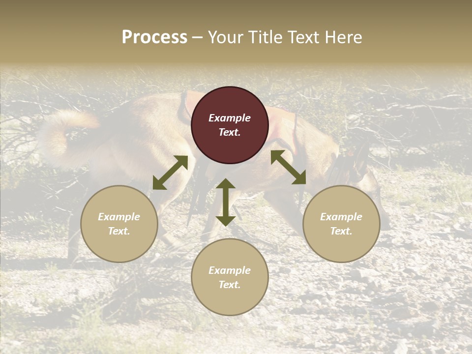 Senior  Elderly Touching PowerPoint Template