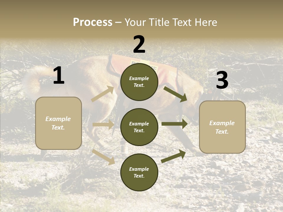 Senior  Elderly Touching PowerPoint Template