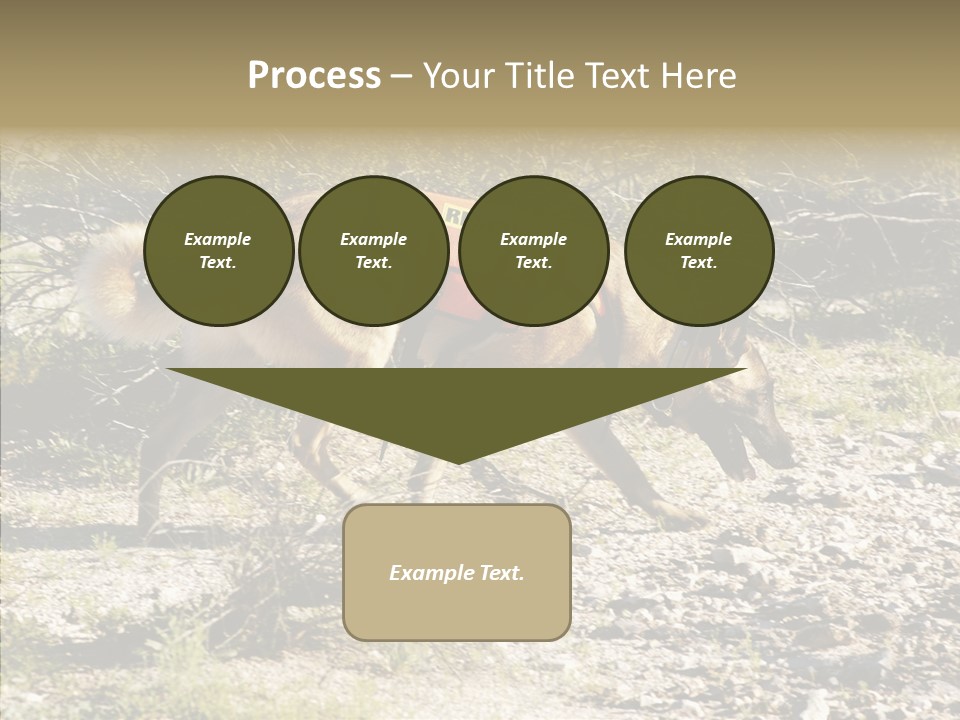 Senior  Elderly Touching PowerPoint Template