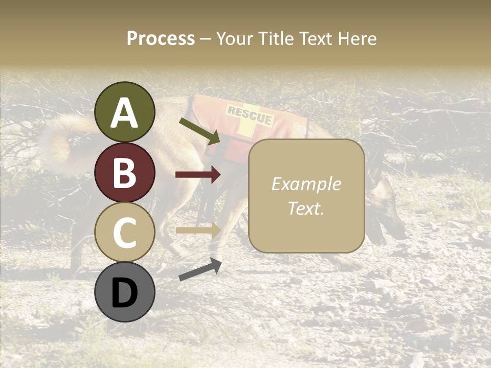 Senior  Elderly Touching PowerPoint Template