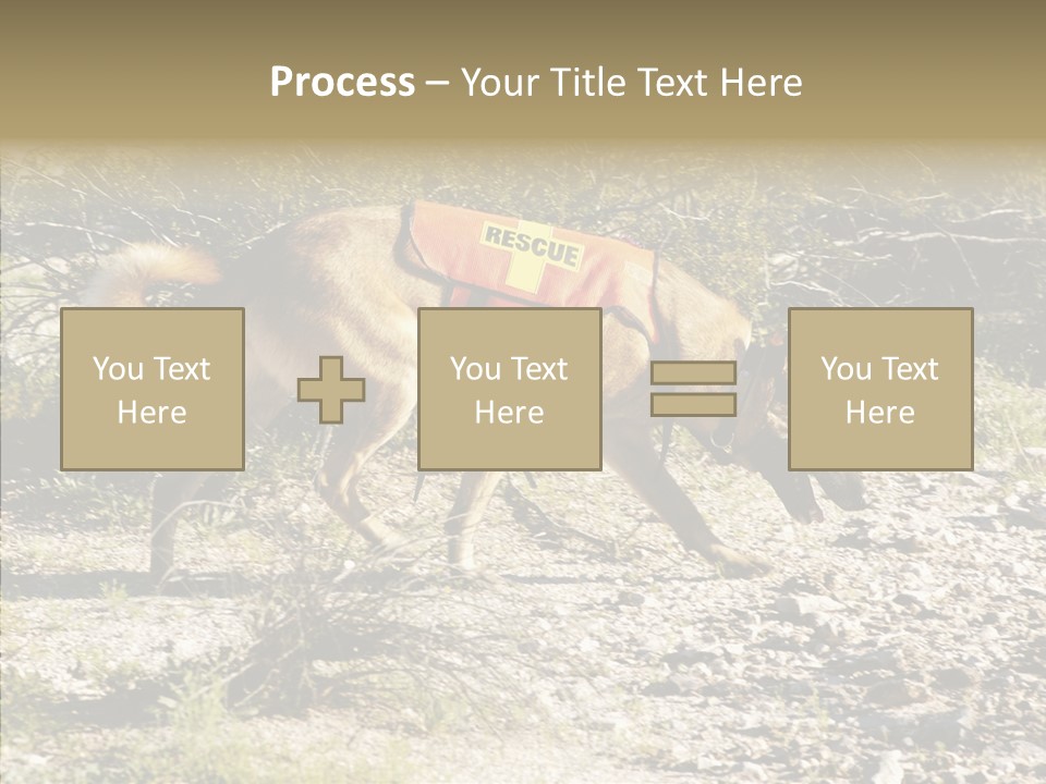 Senior  Elderly Touching PowerPoint Template