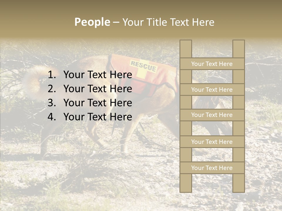 Senior  Elderly Touching PowerPoint Template