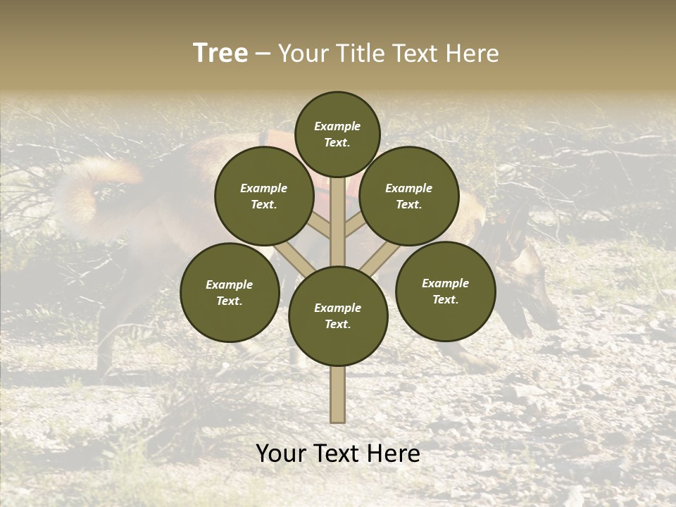 Senior  Elderly Touching PowerPoint Template