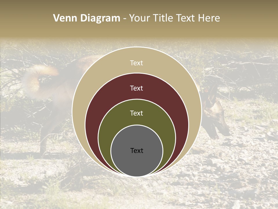 Senior  Elderly Touching PowerPoint Template