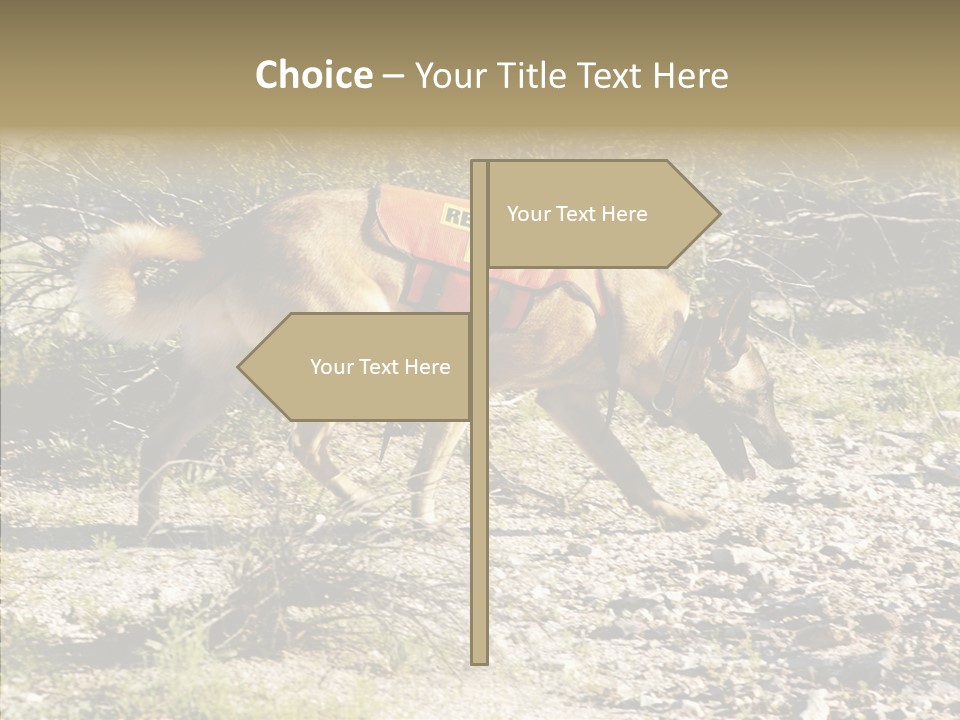 Senior  Elderly Touching PowerPoint Template