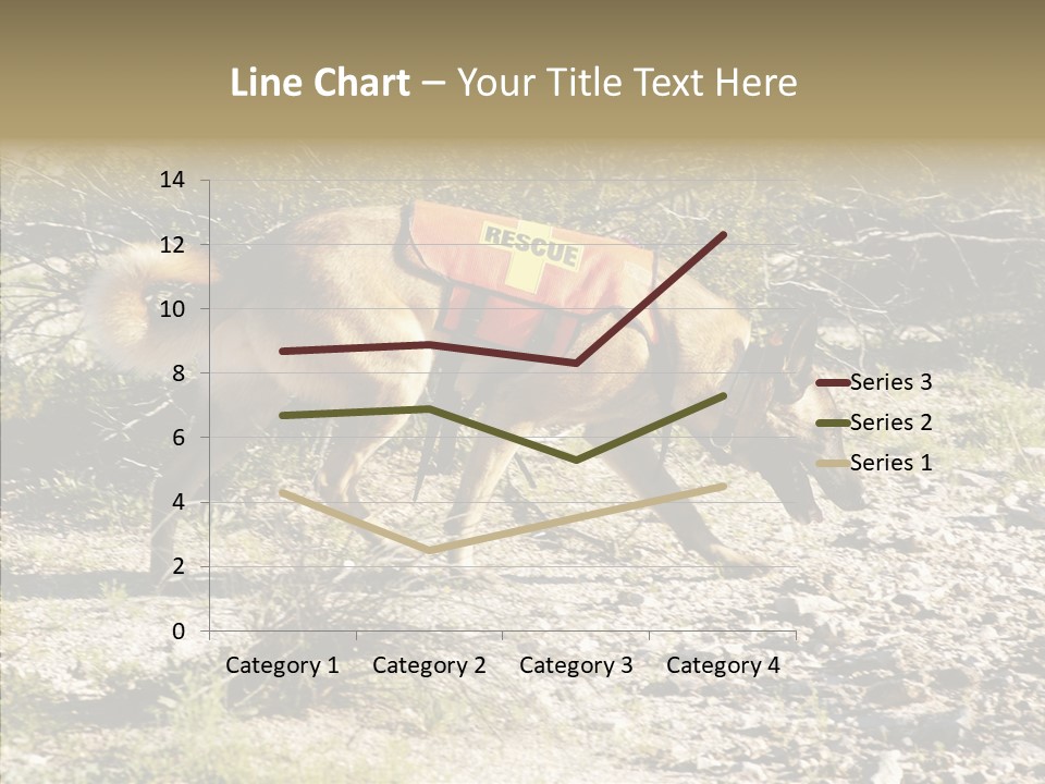 Senior  Elderly Touching PowerPoint Template