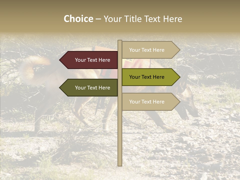 Senior  Elderly Touching PowerPoint Template