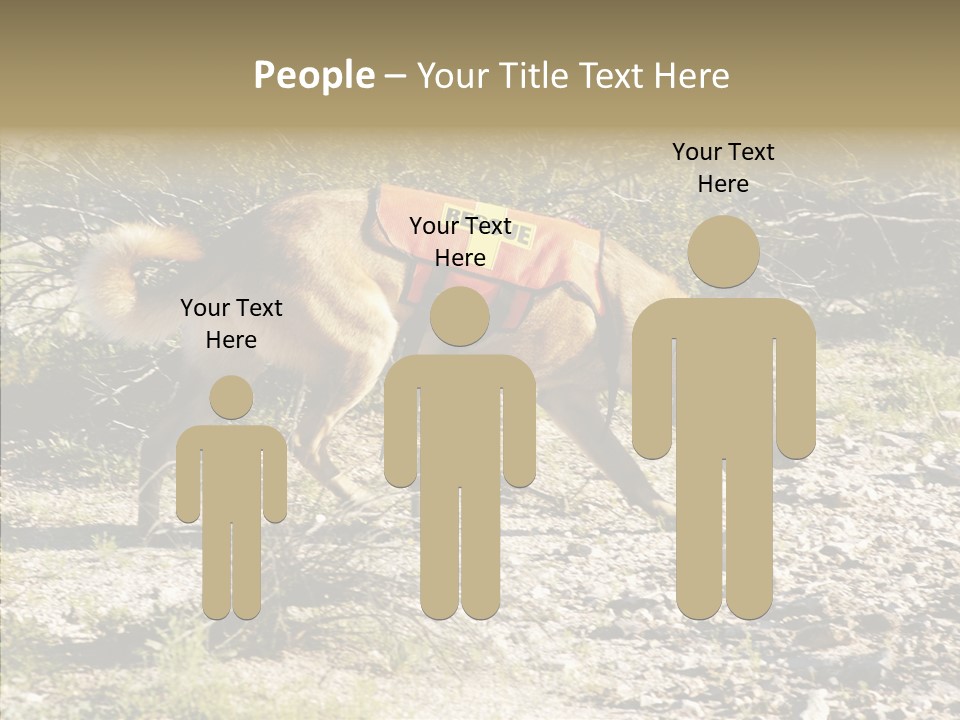 Senior  Elderly Touching PowerPoint Template