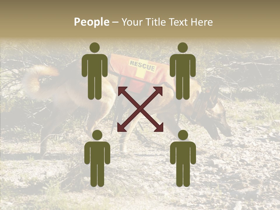 Senior  Elderly Touching PowerPoint Template