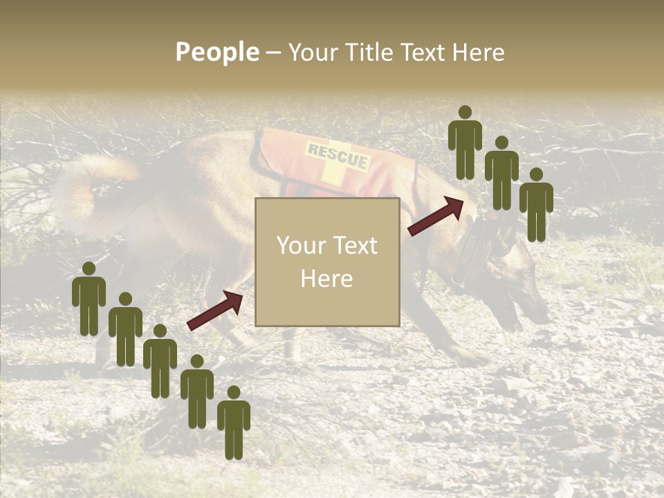 Senior  Elderly Touching PowerPoint Template