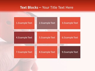 Helping Hand Old Holding Hands PowerPoint Template