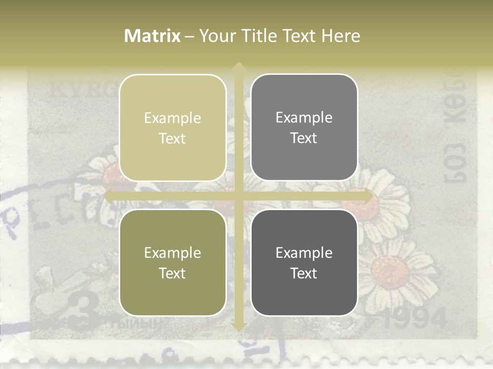 Senior  Caregiver Hold PowerPoint Template