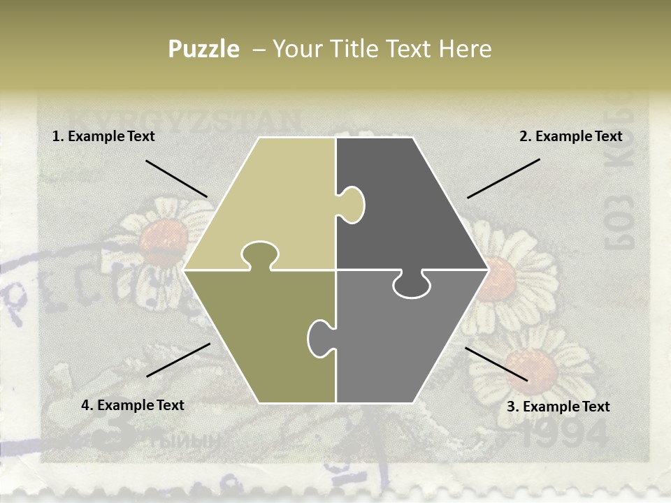 Senior  Caregiver Hold PowerPoint Template