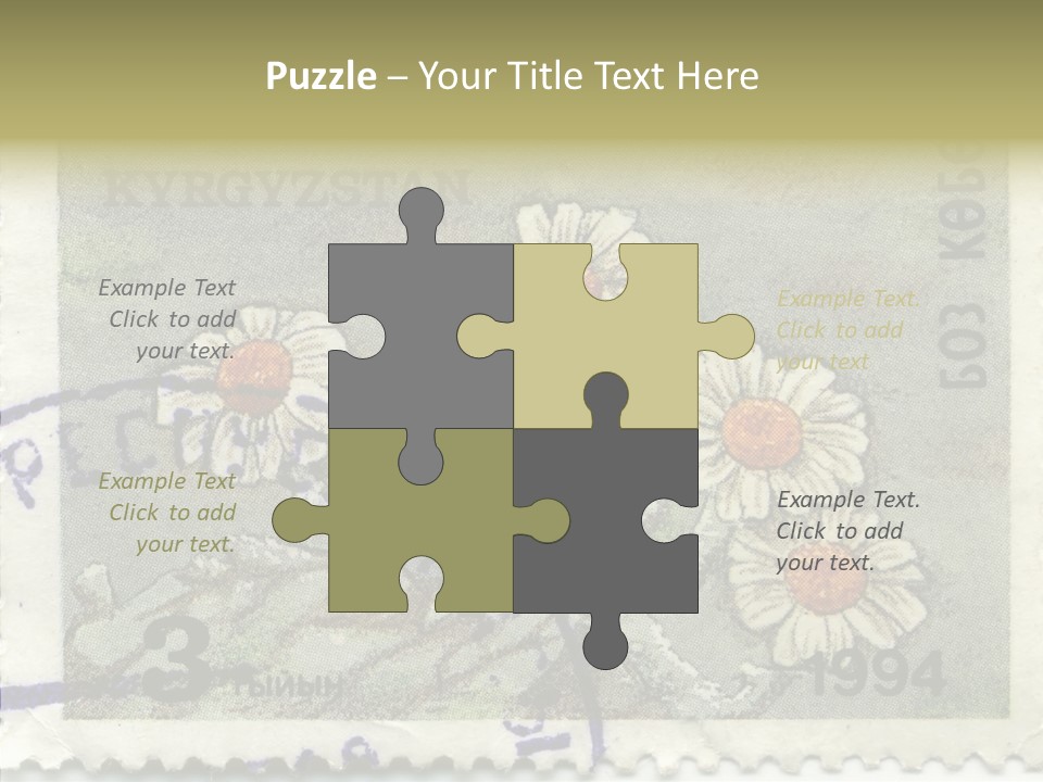 Senior  Caregiver Hold PowerPoint Template