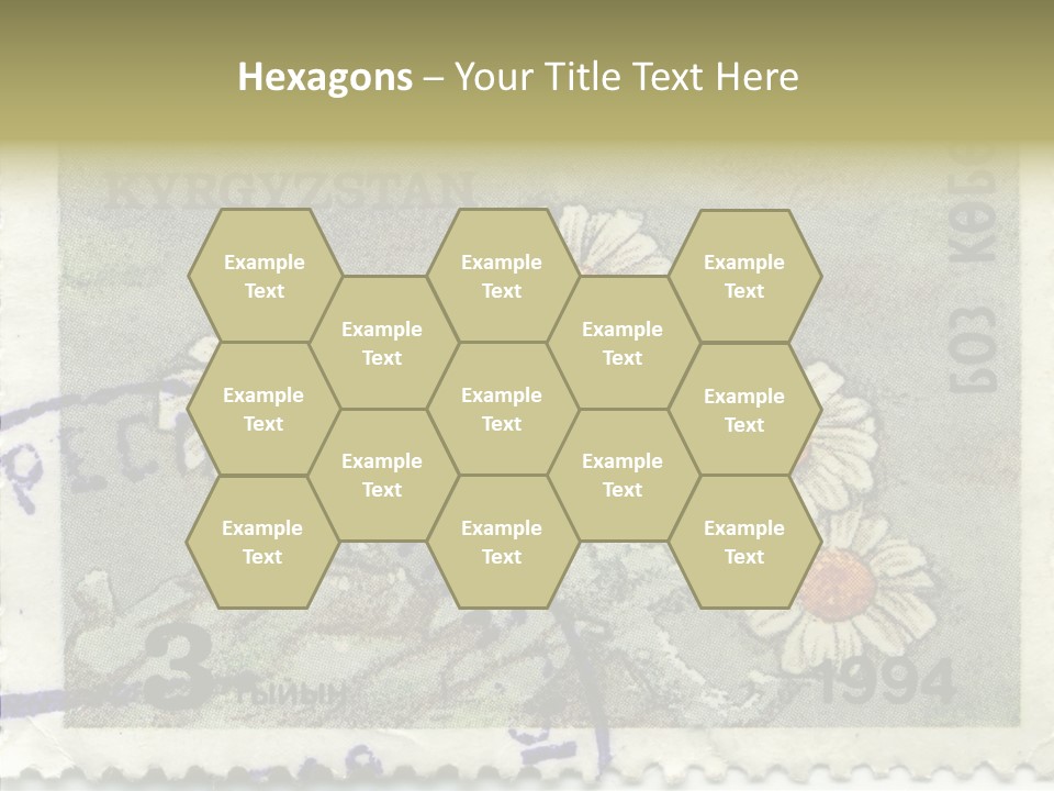 Senior  Caregiver Hold PowerPoint Template