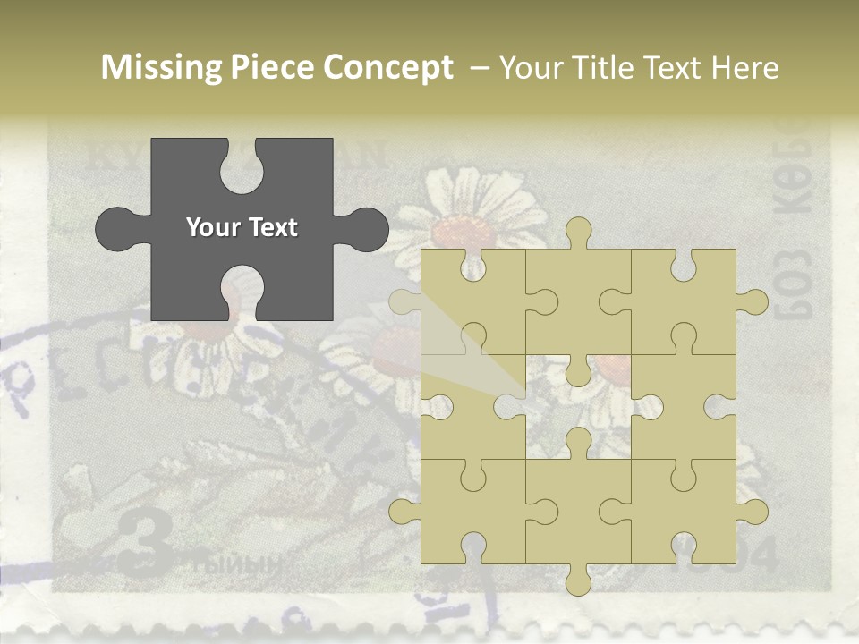 Senior  Caregiver Hold PowerPoint Template