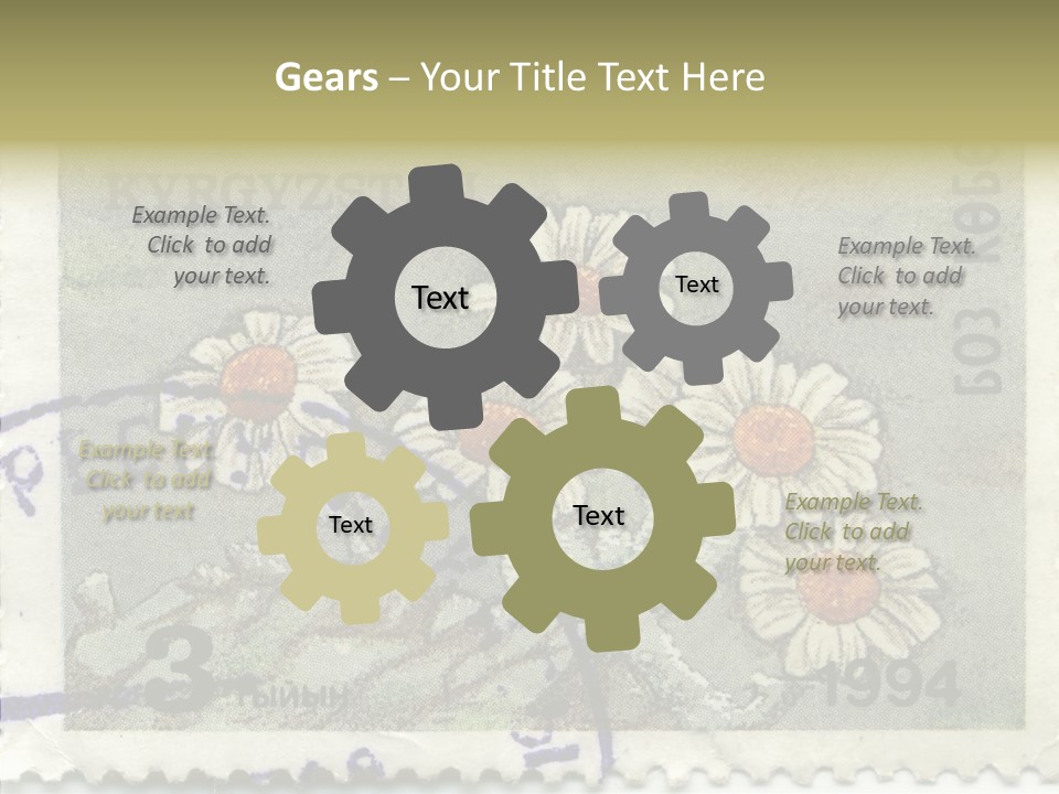 Senior  Caregiver Hold PowerPoint Template