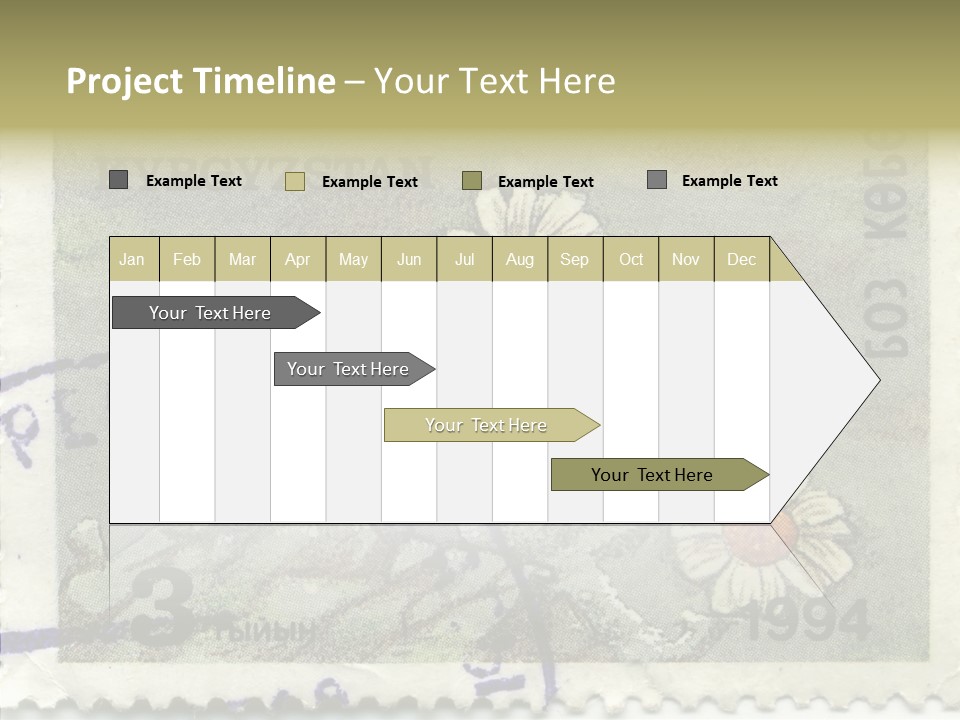 Senior  Caregiver Hold PowerPoint Template