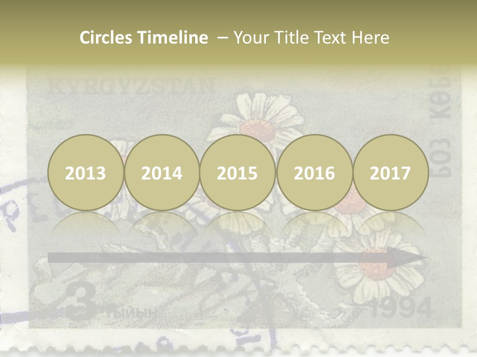 Senior  Caregiver Hold PowerPoint Template