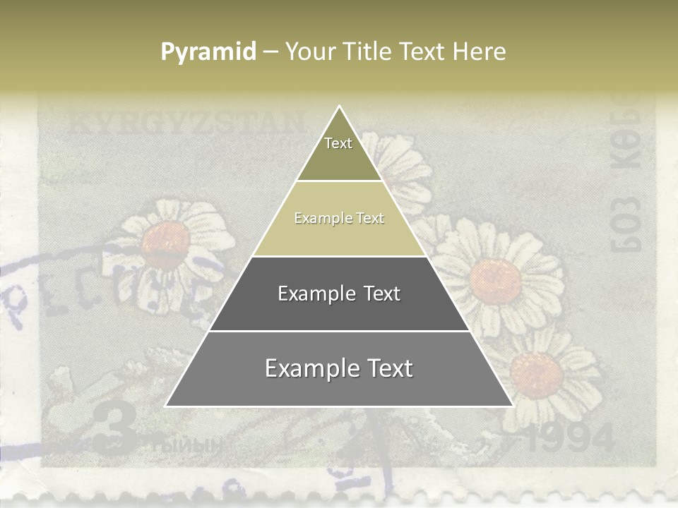 Senior  Caregiver Hold PowerPoint Template