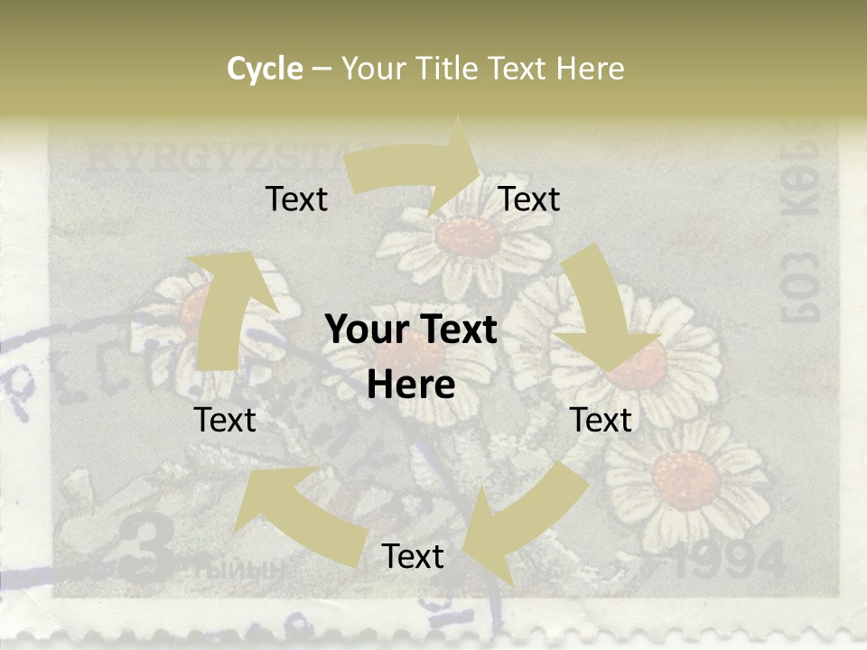 Senior  Caregiver Hold PowerPoint Template