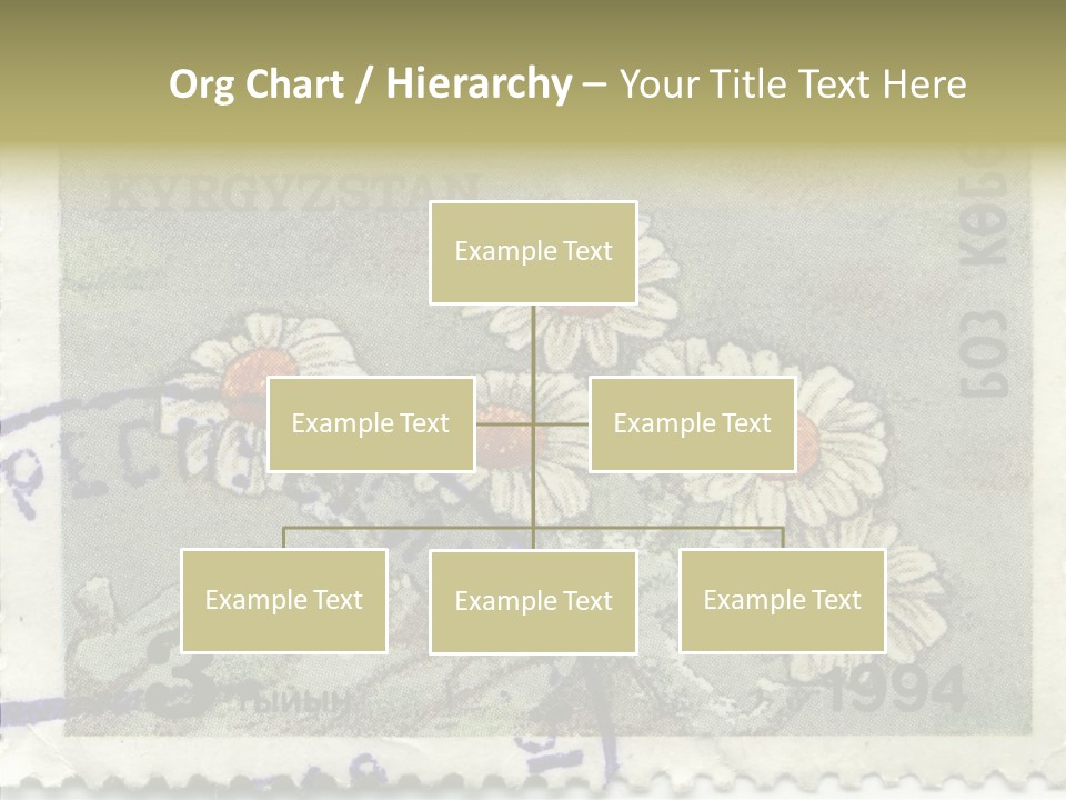 Senior  Caregiver Hold PowerPoint Template