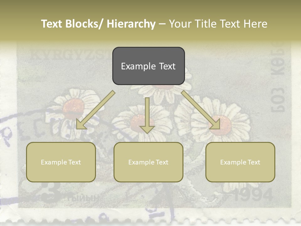 Senior  Caregiver Hold PowerPoint Template