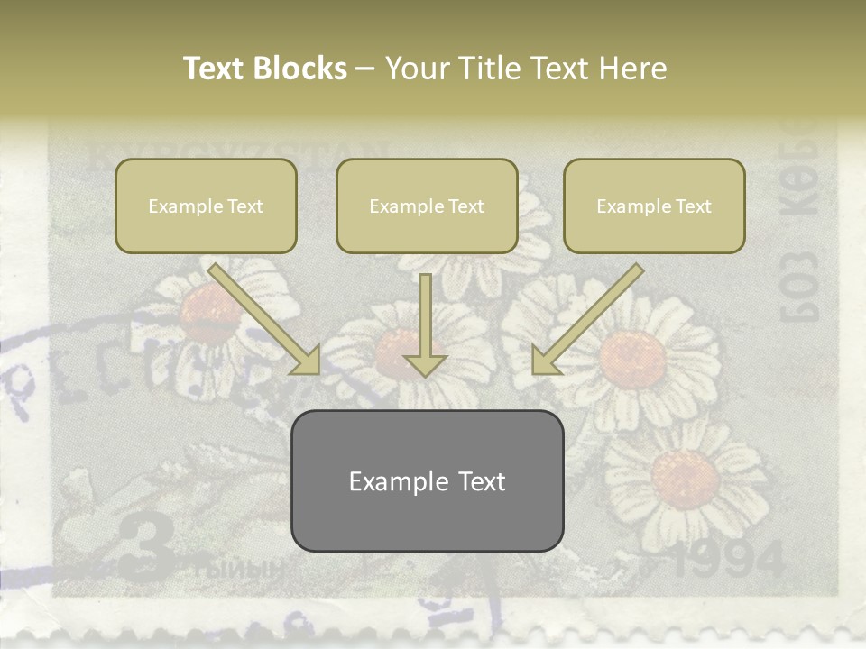 Senior  Caregiver Hold PowerPoint Template