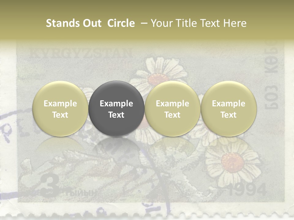 Senior  Caregiver Hold PowerPoint Template