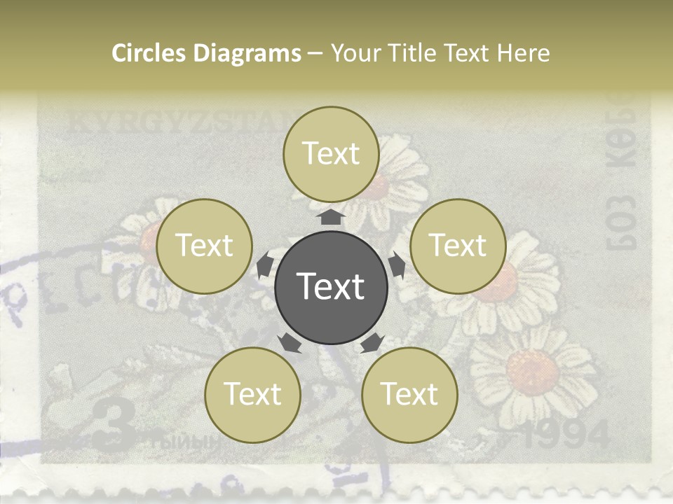 Senior  Caregiver Hold PowerPoint Template