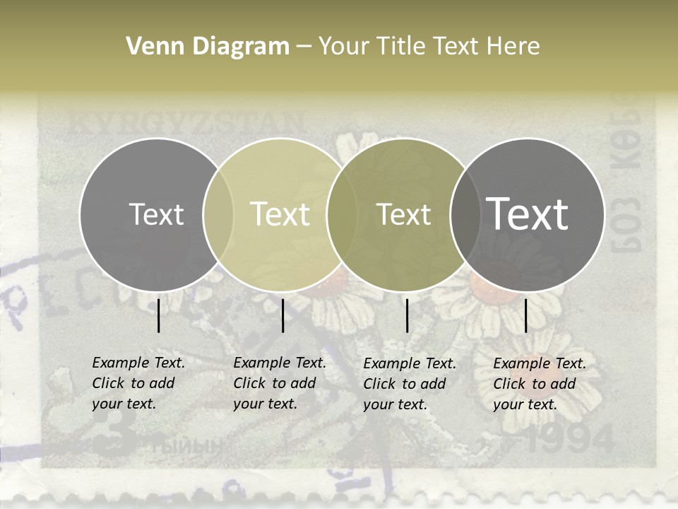 Senior  Caregiver Hold PowerPoint Template