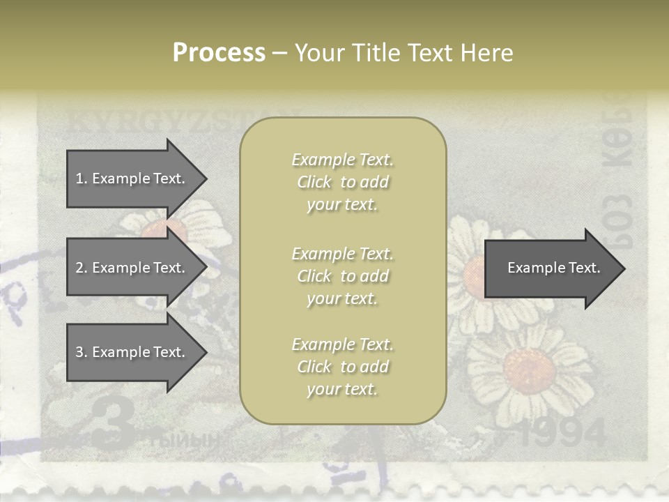 Senior  Caregiver Hold PowerPoint Template