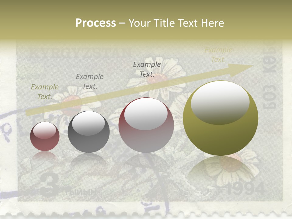 Senior  Caregiver Hold PowerPoint Template