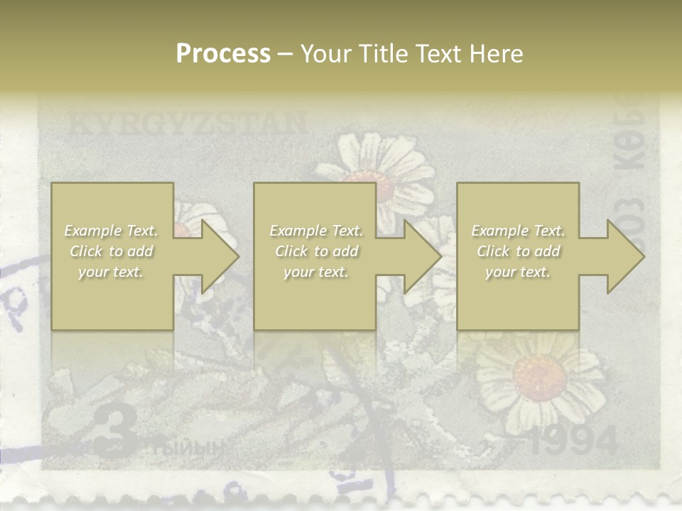 Senior  Caregiver Hold PowerPoint Template