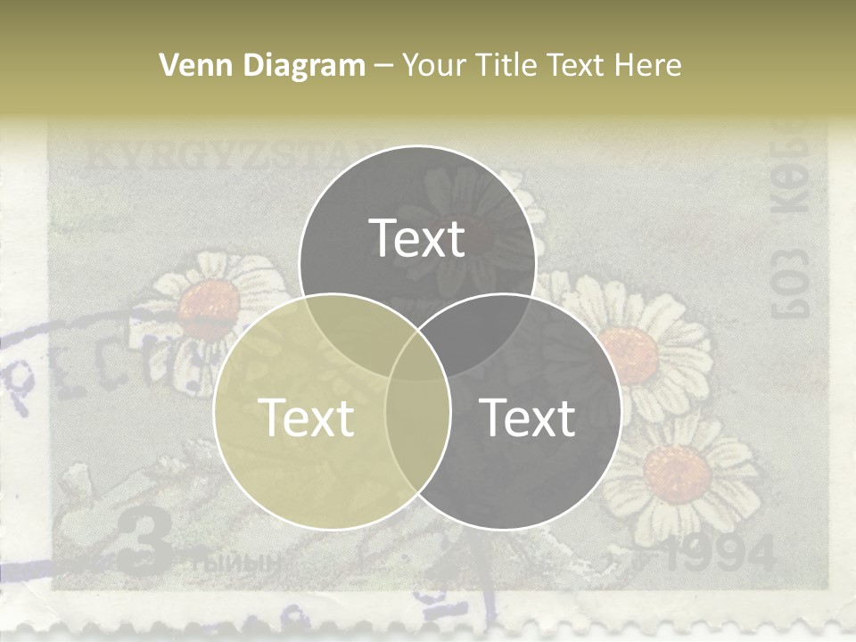 Senior  Caregiver Hold PowerPoint Template