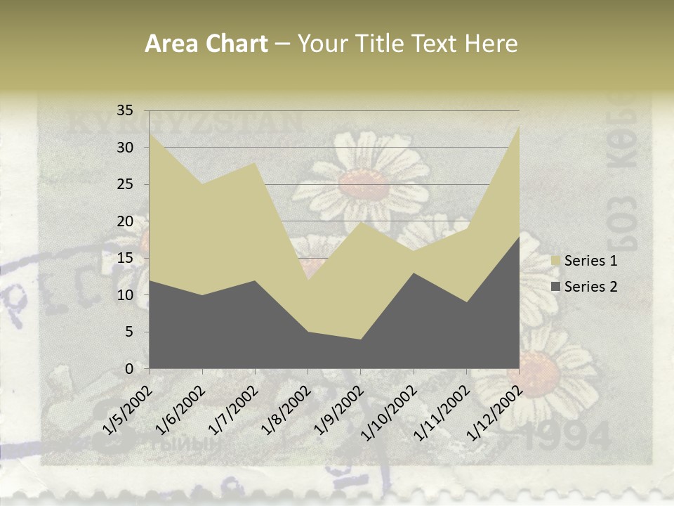 Senior  Caregiver Hold PowerPoint Template
