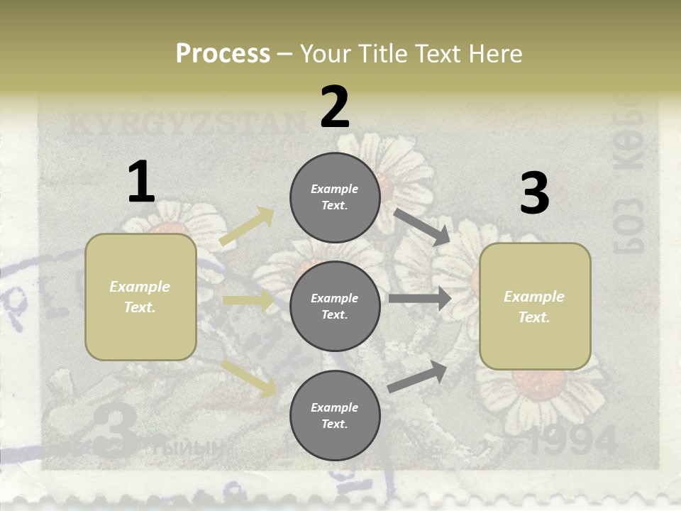 Senior  Caregiver Hold PowerPoint Template