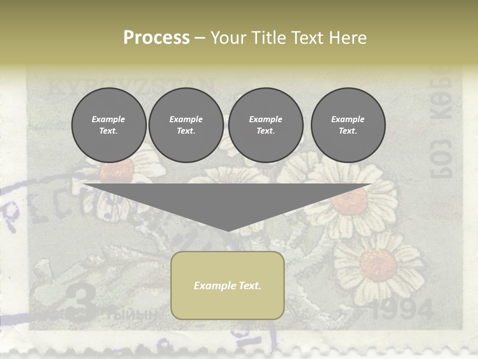 Senior  Caregiver Hold PowerPoint Template