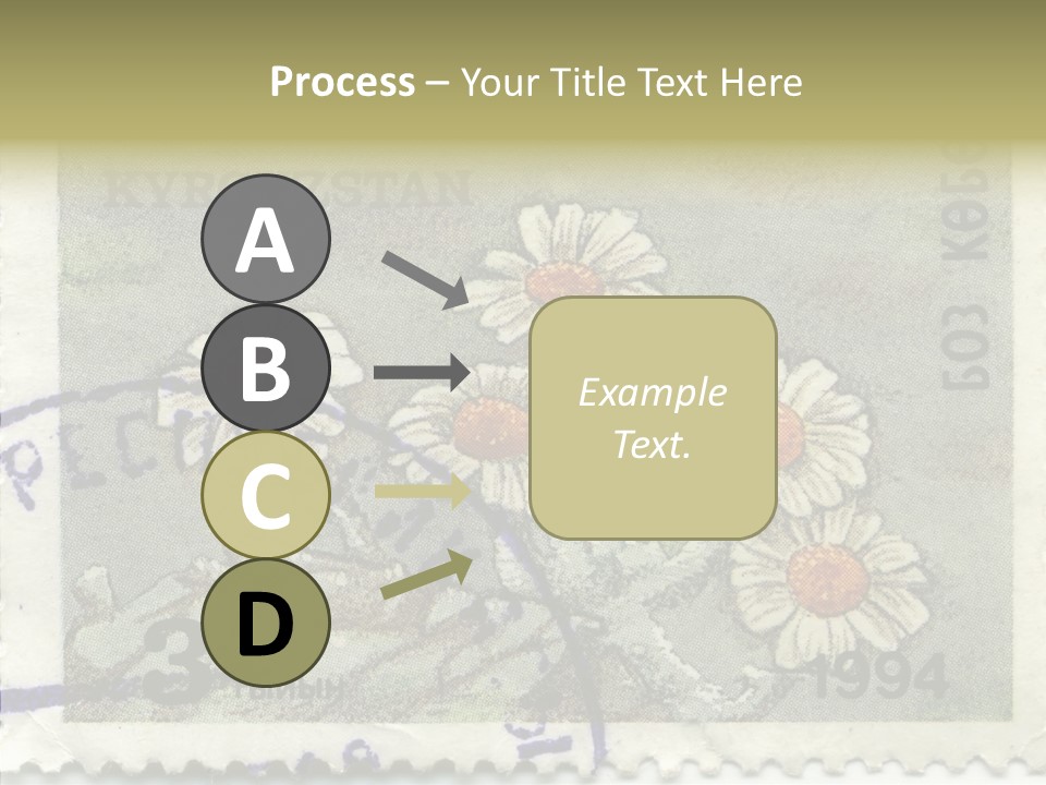 Senior  Caregiver Hold PowerPoint Template