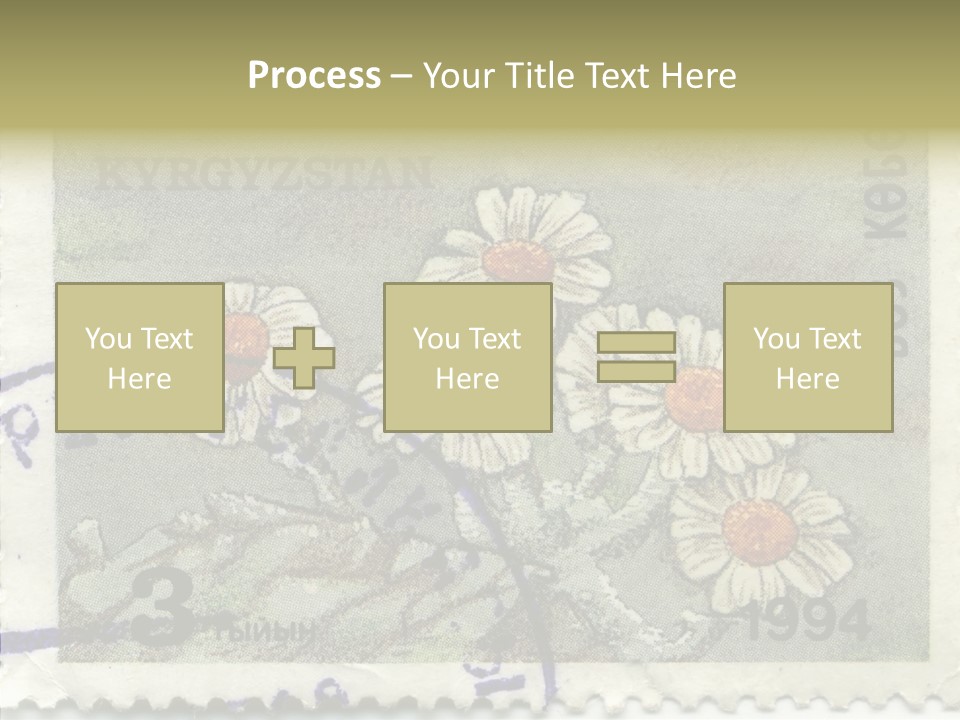 Senior  Caregiver Hold PowerPoint Template