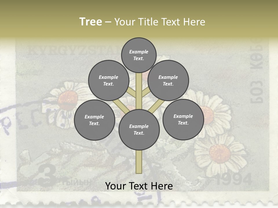 Senior  Caregiver Hold PowerPoint Template