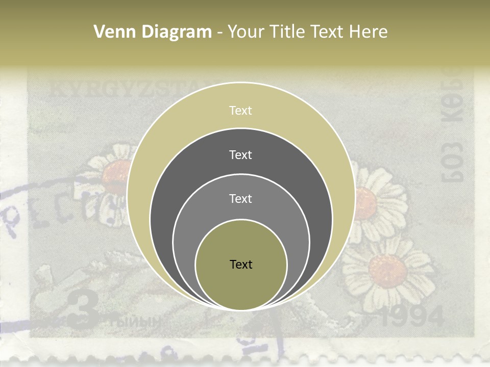 Senior  Caregiver Hold PowerPoint Template