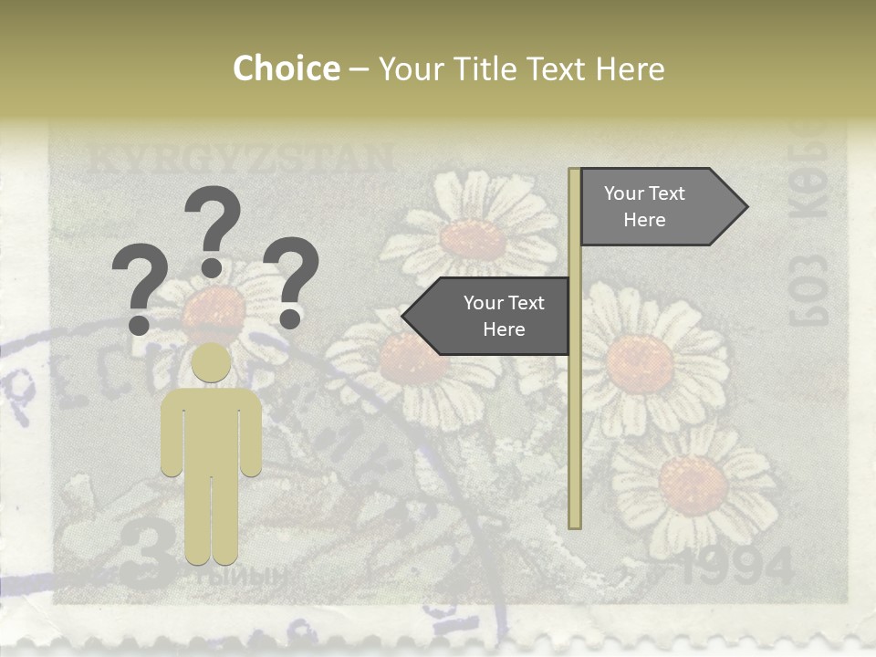 Senior  Caregiver Hold PowerPoint Template