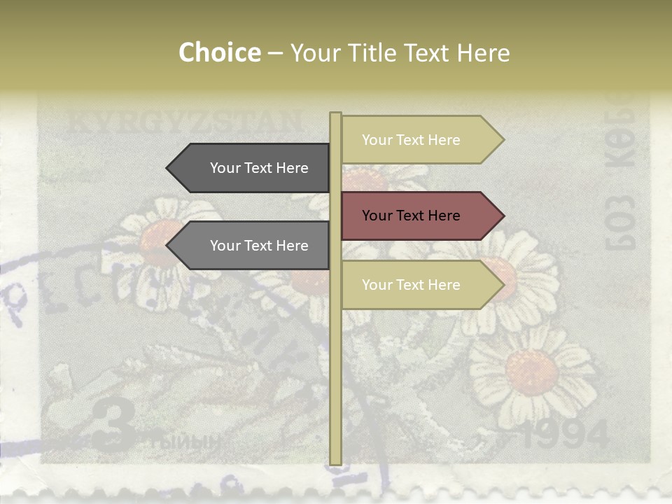 Senior  Caregiver Hold PowerPoint Template